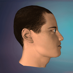 surgeon simulator animated